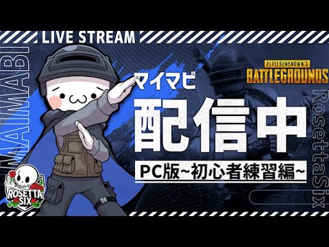 【PUBG】初心者でひたすらPC版を練習します【新人Vtuber】