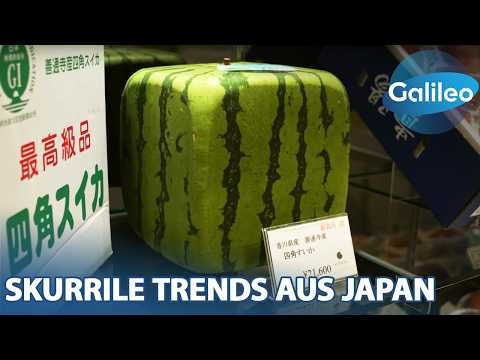 Ein Bad in Wein und viereckige Melonen: Skurrile Trends aus Japan