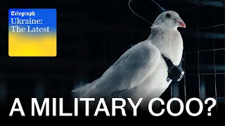 Russia tests turning pigeons into drones | Ukraine: The Latest