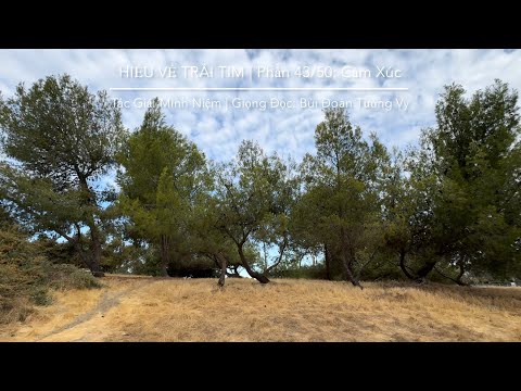 HIỂU VỀ TRÁI TIM | Tác Giả: Minh Niệm | Phần 43/50: Cảm Xúc