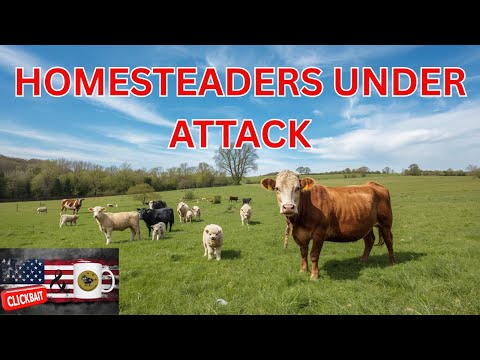 Warren County KY Ordinance: It’s NOT Just a Dog Leash Law