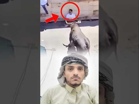 ليس كل موقف يحتاج ردة فعل… بعض اللحظات أقوى حالات واتساب قصيرة بدون حقوق 🎧 | عبارات تهز القلب 💔💬