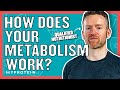Metabolism and Energy Balance Concepts