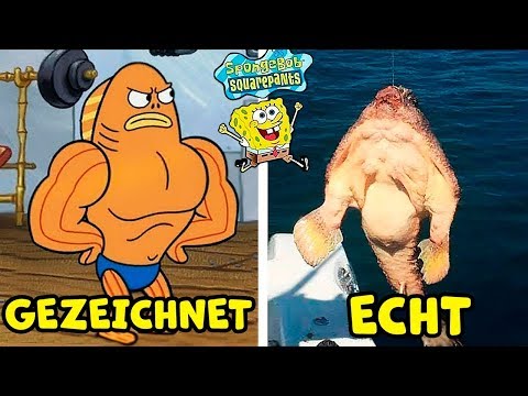 8 Spongebob Schwammkopf Charaktere im echten Leben!