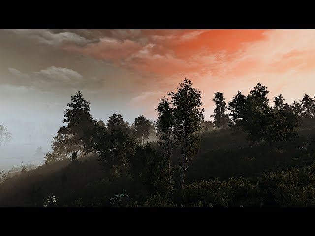 Witcher 3 :  4k -  photorealistic Reshade | PLM 2 | Extreme modded graphic