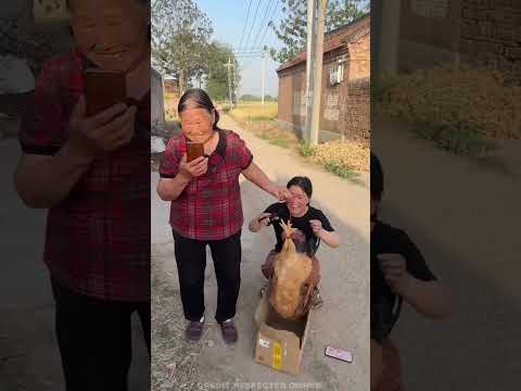 दादी की मुर्गी चुराकर अपना फ़ोन गिरा गयी! #shortvideo