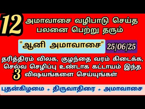 ஆனி அமாவாசை 2025 | இனி எத்தனை அமாவாசை இந்த அமாவாசைக்கு ஈடாகுமா?? 12 ஆண்டு தர்ப்பணம் செய்த பலன் உண்டு