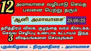ஆனி அமாவாசை 2025 | இனி எத்தனை அமாவாசை இந்த அமாவாசைக்கு ஈடாகுமா?? 12 ஆண்டு தர்ப்பணம் செய்த பலன் உண்டு