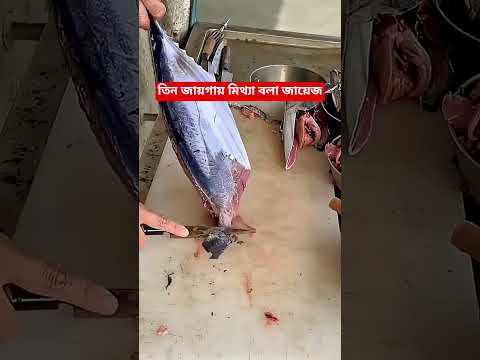 কখন মিথ্যা বলা জায়েজ?শুনুন 💥❤️‍🩹 #azhari #viral #islamicshorts #ahmadulla #trending #islamicvideo