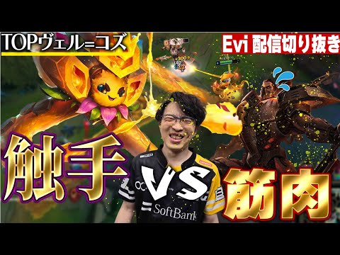 【ヴェル＝コズ vs ダリウス】触手VS筋肉 最強はどっちだ！？レーン番長ダリウスを触手でわからせるえび【SHG Evi】