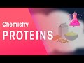 Understanding Proteins