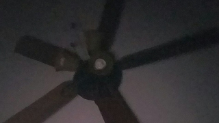 vibiii