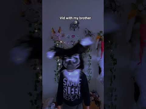 He likes to be in my vids ^^ #dragonpuppets #paperart #dragon #furry #homemadepapercraft #roadto5k