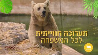 תערוכת "בשביל הדובים" ספארי 2022