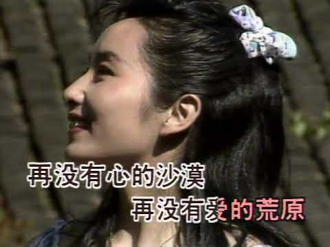 伴唱：愛的奉獻(韋唯)[DK大陸版]
