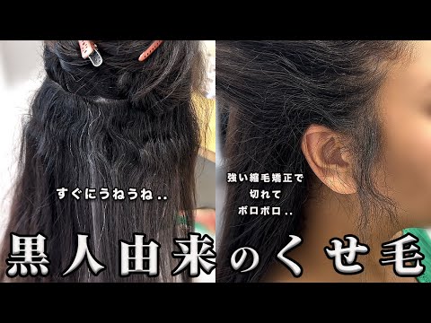 【強いくせ毛】黒人クォーターさんが人生初！！動きのあるレイヤーボブにする方法とヘアケアについて。