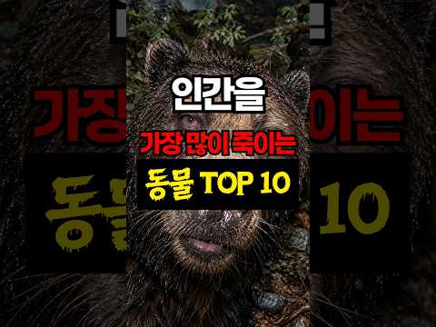 인간을 가장 많이 죽이는 동물 <strong>TOP</strong> <strong>10</strong>