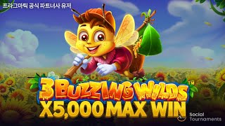 [프라그마틱 슬롯] 프라그마틱 공식 파트너사 유저 3 버징 와일드 [3 Buzzing Wilds] MAX WIN 영상 !