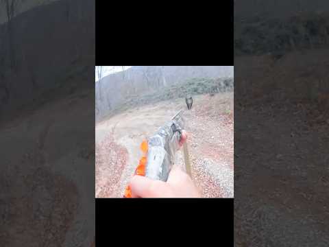 застреленный 3-летний кабан#chase#hunting#challenge#