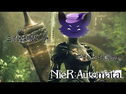 thumbnail_2mZz6j-EqTQ