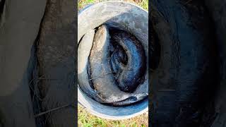 Aaj ham log pakarahe the machhali dekho kya hua 😱 #vlog #minivlog