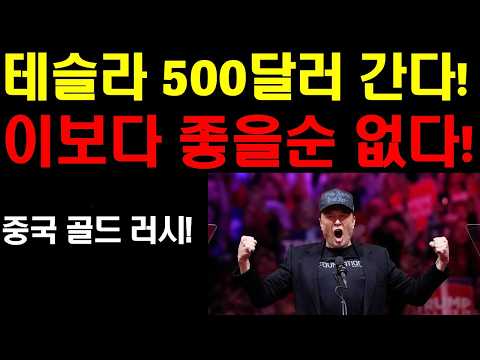 <strong>테슬라</strong> 5백달러 간다! 이보다 좋을순 없다! 덴아이브즈 <strong>테슬라</strong> 주가 <strong>전망</strong>! 엔비디아 팔란티어 분위기 탄다! 가을의 전설이 오고 있다! 2개의 전쟁이 동시에 끝나면 주가는?