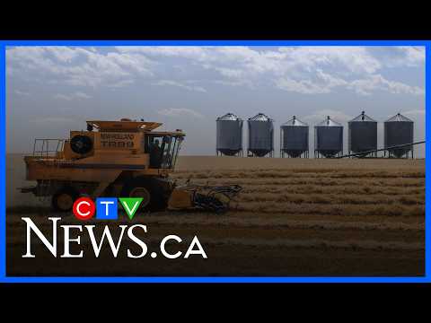 Diesel prices soar, raising the alarm for farmers as harvest approaches
