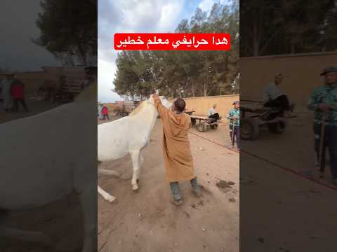 ههه ضحك مع هاد الخرائطي