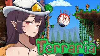 it's terraria【BENI DOKI | PROMISU EN】