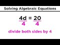 Solving Simple Algebraic Equations