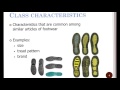 Footwear Impression Evidence Techniques