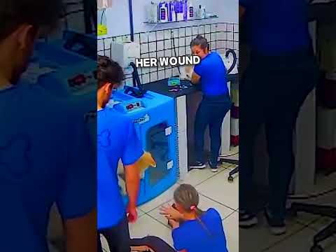 Dog Feels So Sorry for What He Did🥹