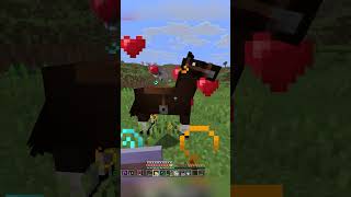 I Got Hunted By The LAW