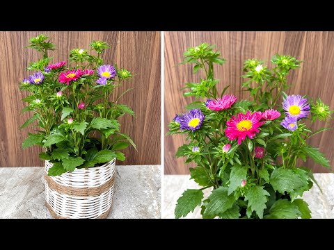 Simple ways to make your home beautiful, make your own plant pots