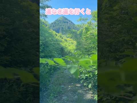今年初!!ついにやって来た #sup #nature