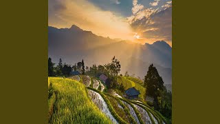 The Wind That Gives Calming Vibes, Pt. 19