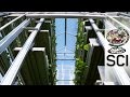 Singapore's Food Production Challenges