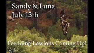 July 13th Jackie Shadow Sandy Luna