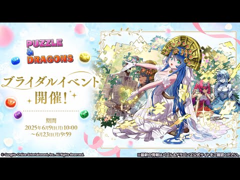 ブライダルイベント 2025 PV