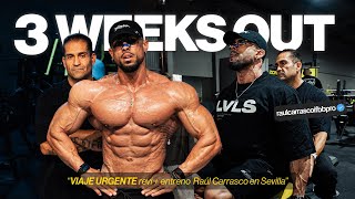 VIAJE URGENTE revisión + ENTRENO de PUSH con Raúl Carrasco en SEVILLA *3 WEEKS OUT*