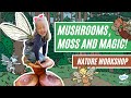 Moss and Fungi Concepts