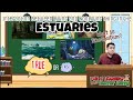 Estuaries and Their Importance
