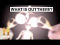 Bigfoot, UFOs, and Rando Nautica