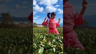 絶景にある茶畑🍃海の見える町、長崎県東彼杵町