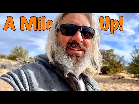 Van Life; The Lows & Highs Of Vandwelling!