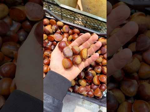 Каштаны за 15 мин 🌰 рецепт от бабушки #каштан #еда #рецепты #рецепт #вкусно