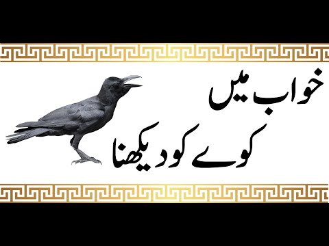 khwab mein Kawa Dekhna Ki Tabeer | خواب میں کوا دیکھنا | Crow In Dream | Sapne me Kauwa Dekhna