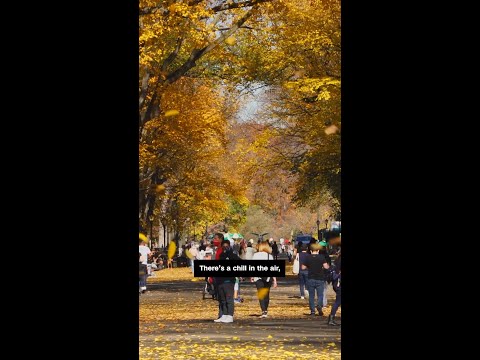 Fall's first freeze isn't arriving on schedule for most of the US. Here's why