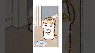 원합니다 #shorts #cat #cute