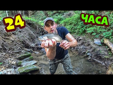 24-Часа в каменном домике.Ловлю форель руками.Собираю и готовлю грибы.